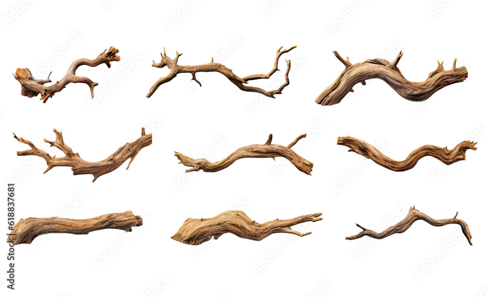 Wall mural collection of twisted tree roots isolated on a transparent background, generative ai