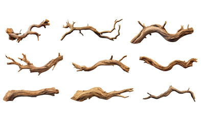 collection of twisted tree roots isolated on a transparent background, generative ai