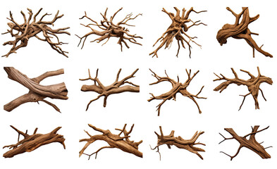collection of twisted tree roots  isolated on a transparent background, generative ai