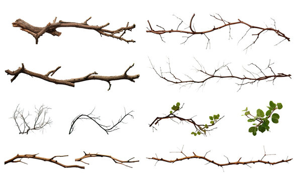 Dead Vines Images – Browse 2,185 Stock Photos, Vectors, and Video | Adobe  Stock