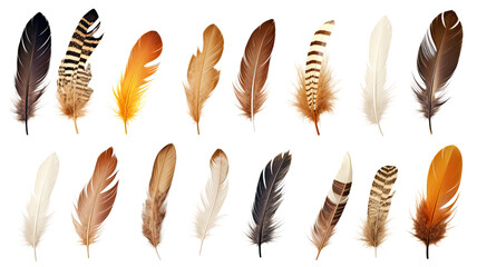 collection of feathers isolated on a transparent background, generative ai