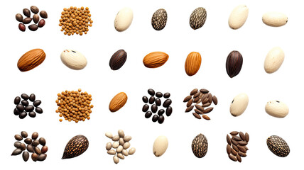 Obraz premium collection of seeds isolated on a transparent background, generative ai