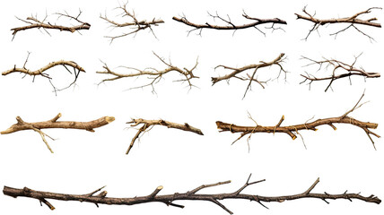 Fototapeta na wymiar collection of thorny branches isolated on a transparent background, generative ai