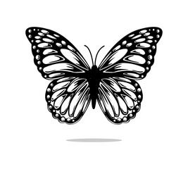 Black and white butterfly, vector for fashion, card, poster prints