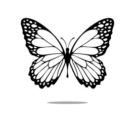 Black and white butterfly, vector for fashion, card, poster prints