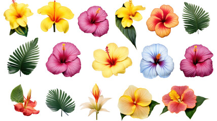 collection of tropical beach flowers isolated on a transparent background, generative ai