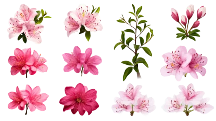 Kunstfelldecke mit Muster Tropische Pflanzen collection of azaleas flowers isolated on a transparent background, generative ai
