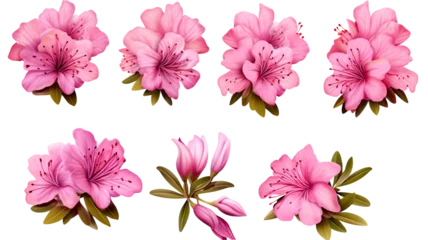 Lichtdoorlatende rolgordijnen Tropische planten collection of azaleas flowers isolated on a transparent background, generative ai
