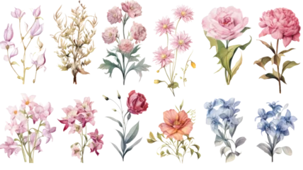 Foto op Canvas collection of soft pastel bouquets of soft pastel flowers isolated on a transparent background, generative ai © Perfect PNG