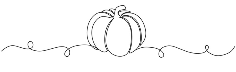 Pumpkin line art vector illustration