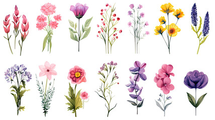 collection of hand drawn bouquets of flowers isolated on a transparent background, generative ai