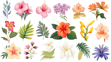 Fototapete Tropische Pflanzen collection of hand drawn tropical beach flowers isolated on a transparent background, generative ai