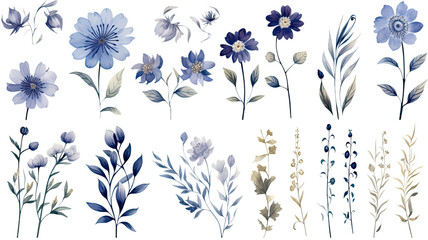 collection of hand drawn winter flowers isolated on a transparent background, generative ai
