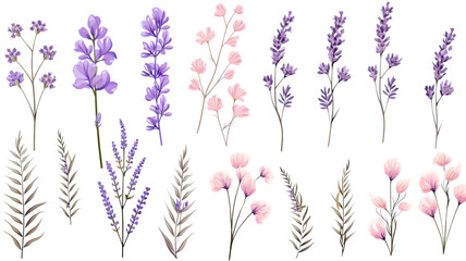 collection of soft pastel lavender flowers isolated on a transparent background, generative ai - obrazy, fototapety, plakaty
