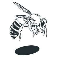 Sketch line art flying bee 1 vector isolated 