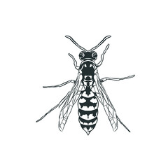 Sketch line art bee 3 vector isolated 