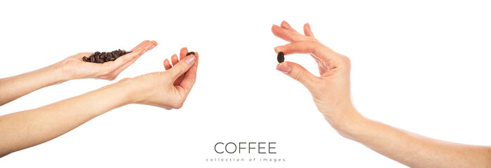 Coffee beans in female hands isolated on white background.