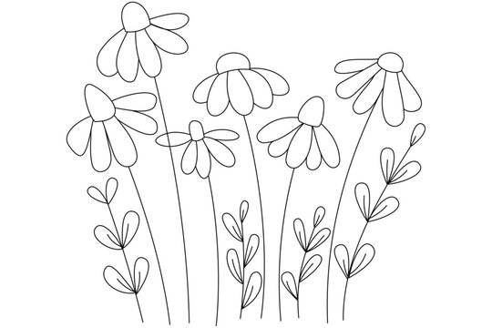 Abstract colorless daisies with abstract grass. Editable stroke. Linear design of a postcard for a holiday