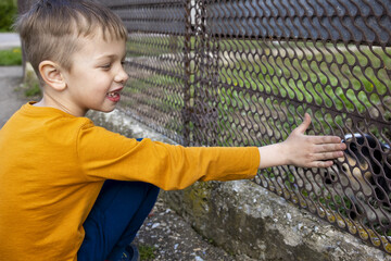 A happy child communicates with a small puppy dog through the fence of a neighbor's house. The concept of friendship between animals and children