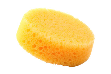 Sea sponge, Transparent background. generative AI