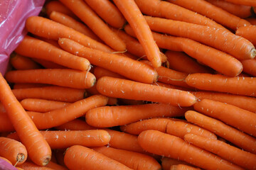 Carrots on a market, fresh carrot for sell in the market, pile of a carrot background
