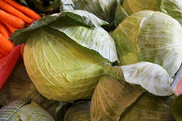Fresh natural cabbage to background. Group of green cabbage in a supermarket.