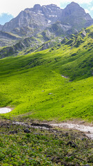 Naklejka premium Spring in the mountains. Georgia mountain landscape