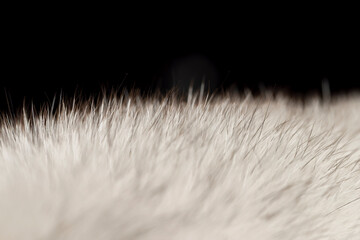 close-up of arctic fox fur used in the manufacture of clothing