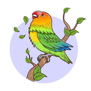 Lovebird logo vector design template and illustration.