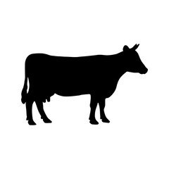 Black silhouette cow isolated on white