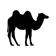 Camel Graphic Silhouette Logo Design vector