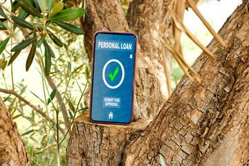 mobile phone on olives trunk with interface of  application for a personal loan to choosing a bank that suited the financial situation and could paying back with interest