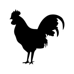 black and white rooster silhouette
