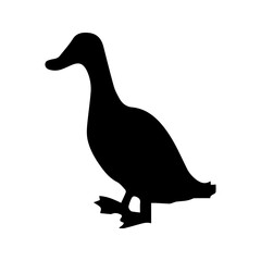 beautiful duck silhouette