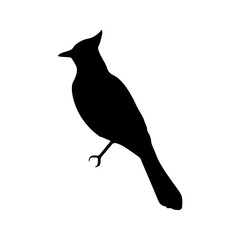 beautiful bird silhouette