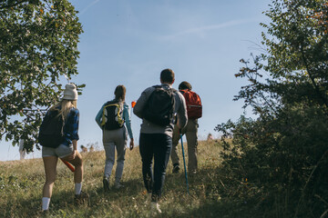 Obraz premium Four hiking friends, males and females, almost reached the top of the mountain, on a beautiful sunny morning