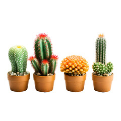 cactus in pot  AI generative