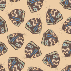 Fototapeta premium Seamless Pattern with Hand Drawn Colorful Butterflies on Orange Background. Digital Paper with Butterfly.