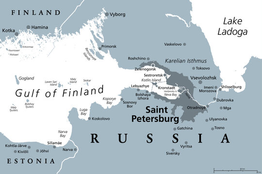 Saint Petersburg area, gray political map. Second-largest city in Russia, formerly known as Petrograd and later Leningrad. Situated on the Neva River, at the head of Gulf of Finland in the Baltic Sea.