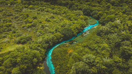 blue water river of Bonito, Mato grosso do Sul - Sucuri River,  Bonito, MS - river with blue crystallinewater. - obrazy, fototapety, plakaty