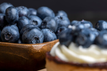 Tartlet with cream and blueberry flavor