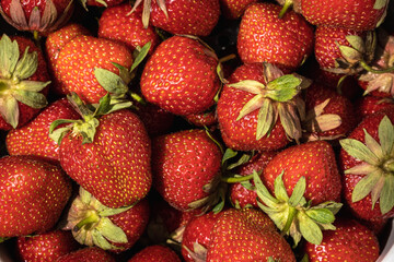 Macro shot of freshly picked ripe red strawberries. Healthy food full of vitamins concept. Summer textured background
