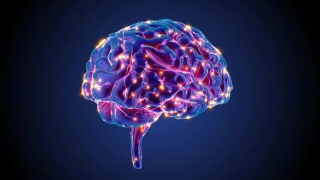 Blue Brain spinning in a 3D animation with neurons sparkling