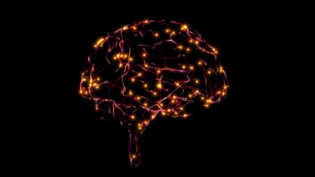 Neurons in a brain spinning in a 3D animation