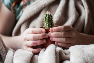 mano de niña regalando una maceta de cactus alargado verde con pinchos