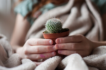 Manos de niña delicadas sujetando un cactus pequeño con manta beige
