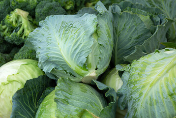 Close-up of fresh picked cabbage heads at a local farmer's market