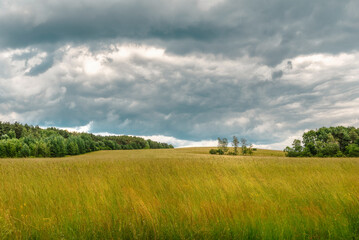 field and blue sky