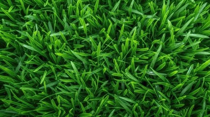 Fototapeta na wymiar Green grass background. AI generated.