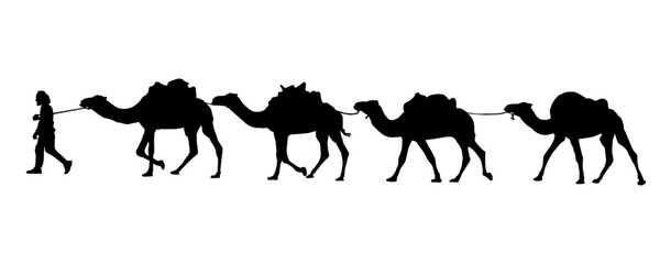 camel caravan silhouette. Camel caravan in the desert. Vector illustration